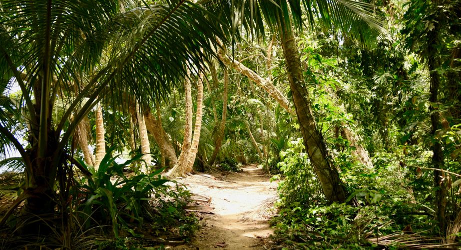 Natuur van Costa Rica